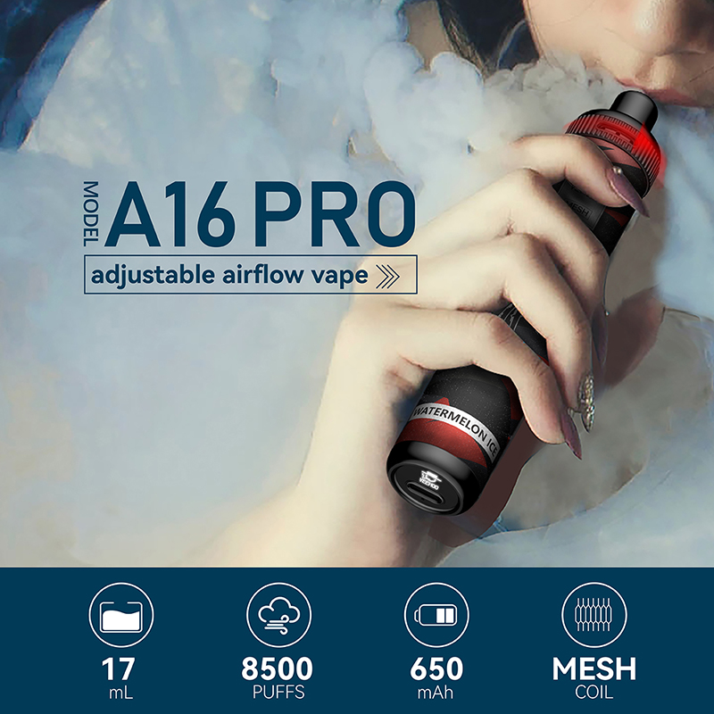A16pro
